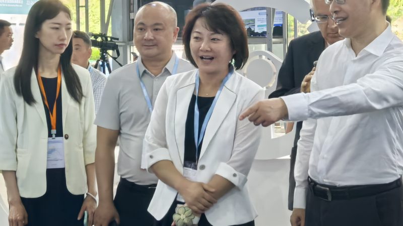评选国内轮胎生产厂家排行榜前十名，主要从以下几个方面进行考量：